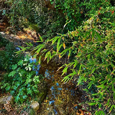 Le Moulin Des Salces Landsted *