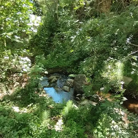Le Moulin Des Salces Saint-Privat (Herault)