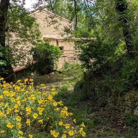Le Moulin Des Salces Landhaus *