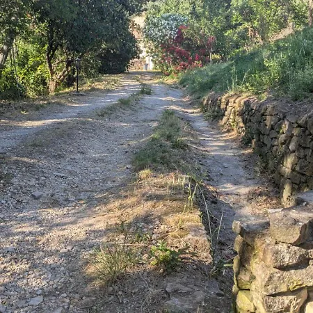 Le Moulin Des Salces * Saint-Privat (Herault)